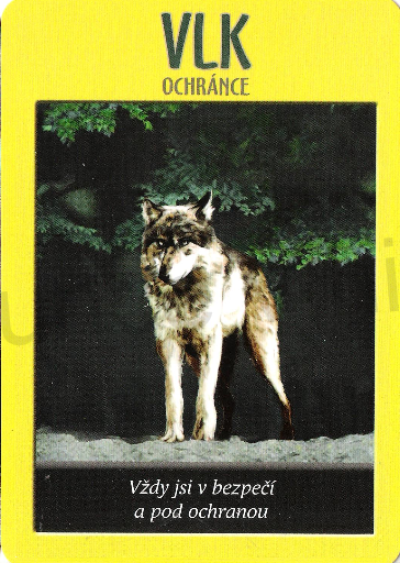 Náhrdelník s přívěškem  znakem Vlka (BD740)