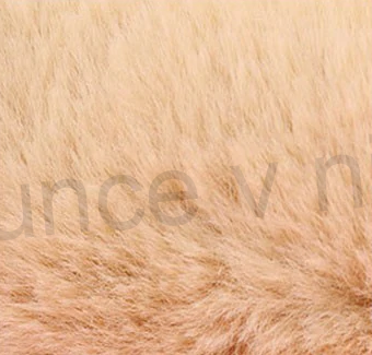 Studenský školní penál (E125)