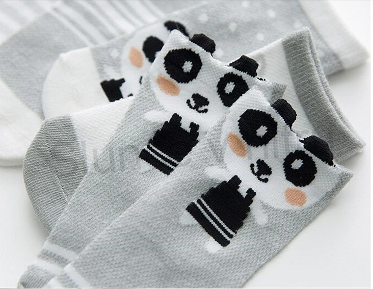 Kojenecké ponožky 0 - 12 m - 5 párů (W124)