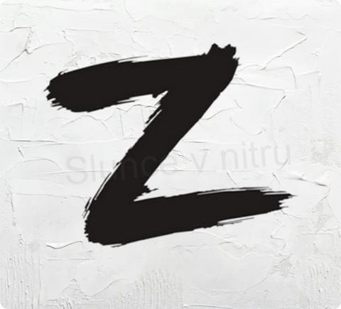 Samolepky na auto písmeno Z (E662)