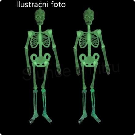 Dekorace, ozdoba kostra, skull sviticí ve tmě 2 kusy v balení (H494)