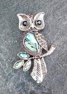 Brož Sova přírodní mušle Paua (X1735)