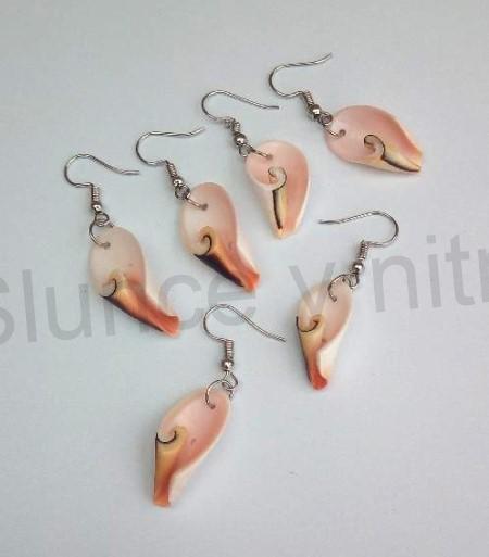 Visací náušnice mořské plody pravá mušle více balení (X1755)