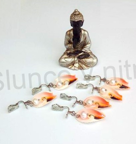 Visací náušnice klipsny mořské plody pravá mušle pravá perla více balení (X1758)