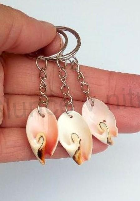 Přívěšek na klíče mořské plody pravá mušle (X1759)