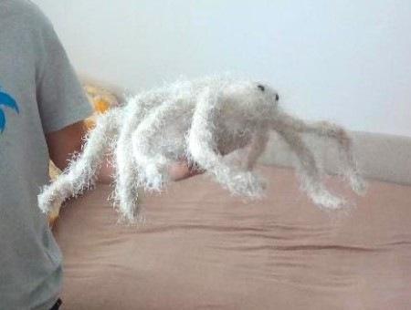 Vlněná hračka Pavouk 43 cm (D913)