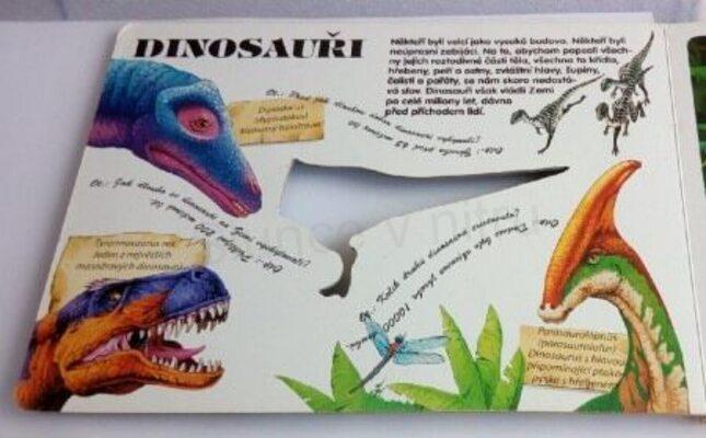 Dinosauři pod rentgenem (EK13)