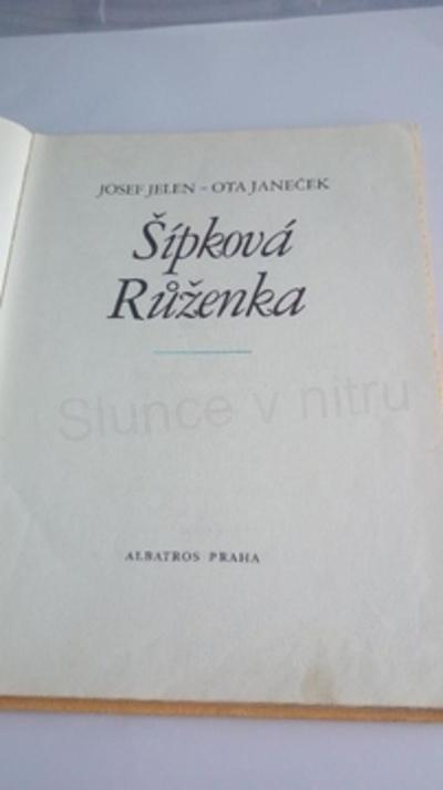 Šípková Růženka (EK21)