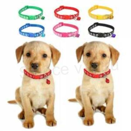 Obojek s tlapičkami a rolničkou zelený (T8)