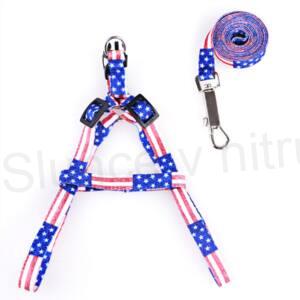 Postroj s vodítkem pro psy a kočky (T11)