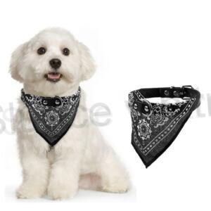 Kožený obojek pro psa s šátkem 39 cm modrý (T13)