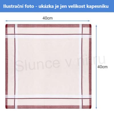 Látkový pánský bavlněný kapesník (C682)