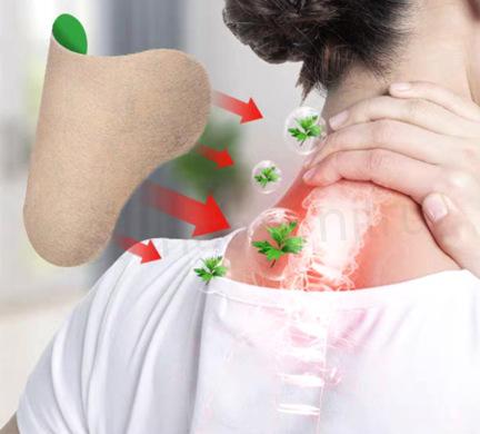 Hřejivá pelyňková náplast na bolest 12 ks ( F19)