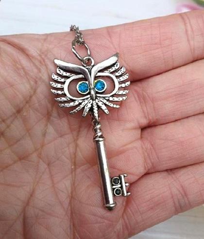 Řetízkový dlouhý náhrdelník sova klíč (BD944)