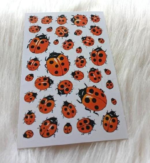 Samolepky, obtisky beruška, berušky kreslené mix (E1017)