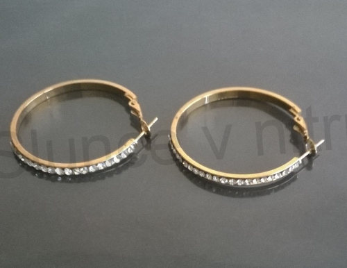 Náušnice Kruhy se zirkony z chirurgické oceli (BB165)