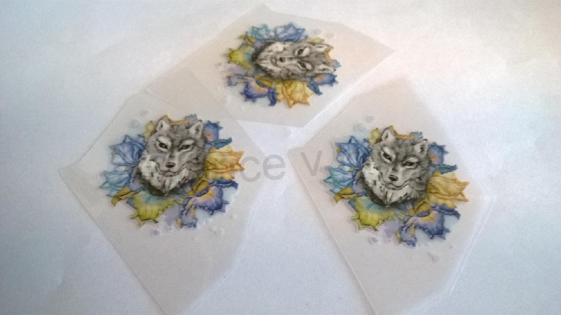 Samolepicí nažehlovací nášivky (C213)