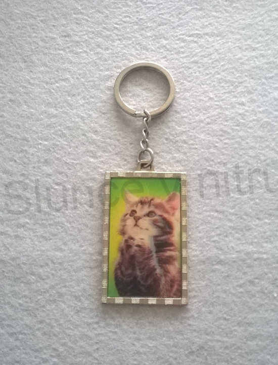 Retro klíčenka s 3D obrázky - 60x35 mm (D95)