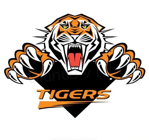 Samolepky na auto tygr, tigers (E172)