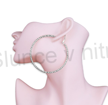 Postříbřené, pozlacené náušnice Kruhy z chirurgické oceli (BB79)