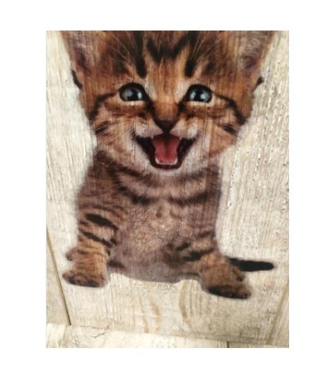 3D Samolepící dekorace roztomilé kotě (E186)