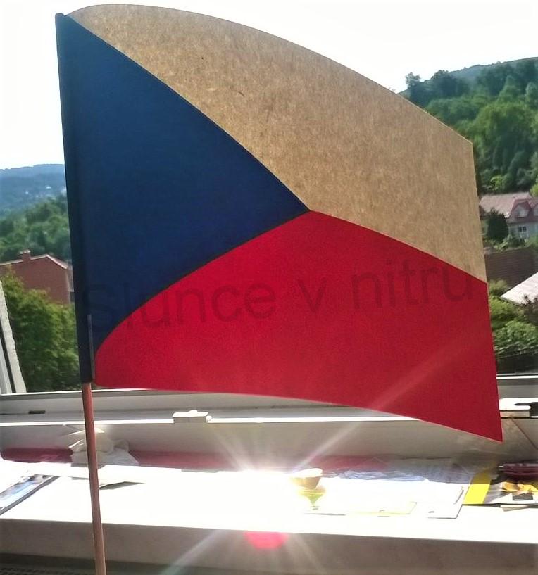 Papírová velká vlajka na dřívku 21 x 50 cm (E315)