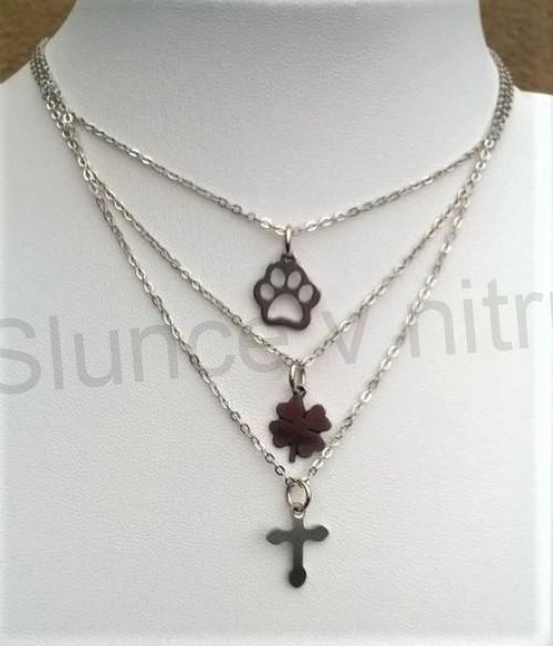 Řetízkový náhrdelník s přívěškem tlapky z chirurgické oceli (BD398)