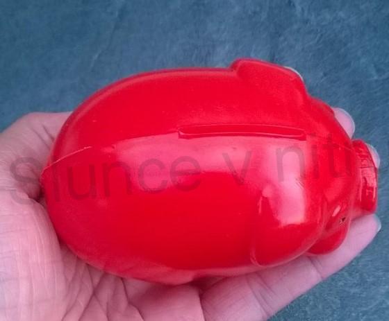 Prasátko pokladnička (D459)