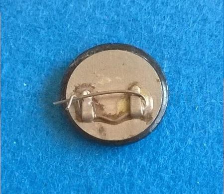 Odznak - Lenin (ME25)