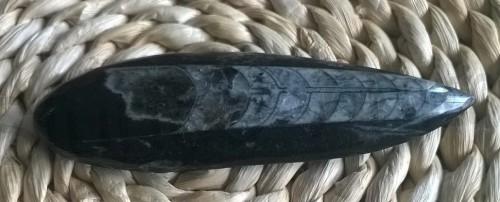 Orthoceras fosilie, placička 12 cm / 70 g (Maroko) (X1019)