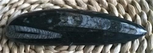 Orthoceras fosilie, placička 11,5 cm /171 g (Maroko) (X1022)