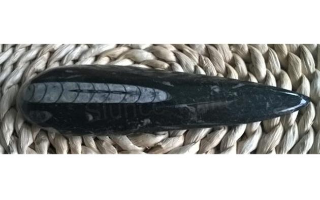 Orthoceras fosilie, placička 16cm / 152 g (Maroko) (X1028)