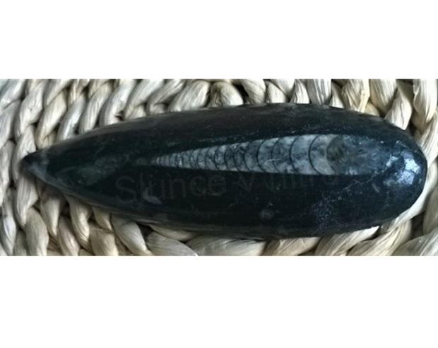 Orthoceras fosilie, placička 11,3 cm / 98 g (Maroko) (X1039)