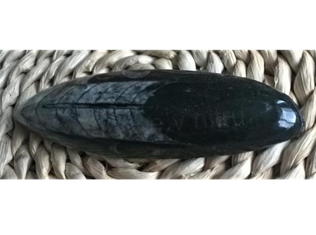 Orthoceras fosilie, placička 11,3 cm / 127 g (Maroko) (X1042)