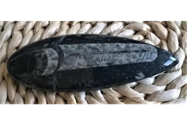 Orthoceras fosilie, placička 11,2 cm / 100 g (Maroko) (X1059)