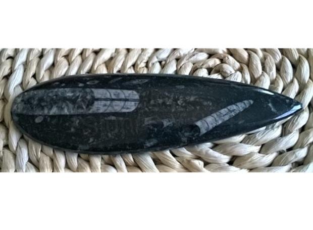 Orthoceras fosilie, placička 16,5 cm / 149 g (Maroko) (X1071)