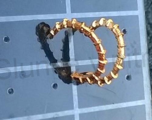 Puzetové náušnice mořské plody z chirurgické oceli kruh (BB663)