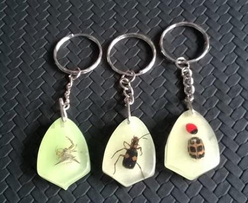 Klíčenka s hmyzem zalitá v pryskyřici sviticí (PP170)