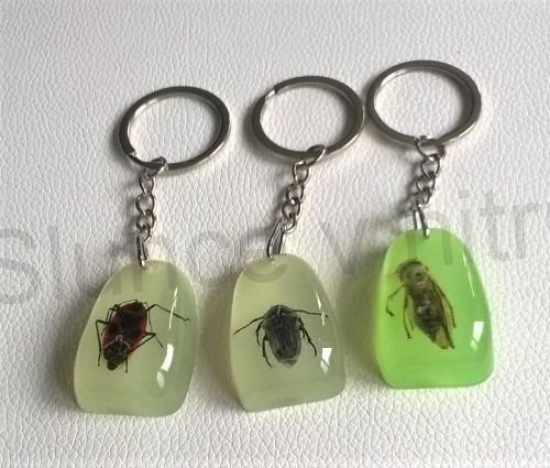 Klíčenka s hmyzem zalitá v pryskyřici sviticí (PP171)