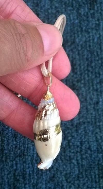 Minerální přírodní náhrdelník pozlacená mušle, lastura (X1314)