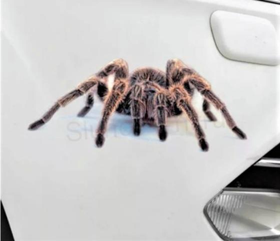 Samolepka na auto Pavouk, Spider (E680)