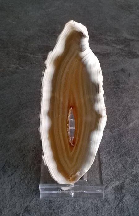 Plastový stojánek posuvný 7 x 4 x 5 cm (AE29)