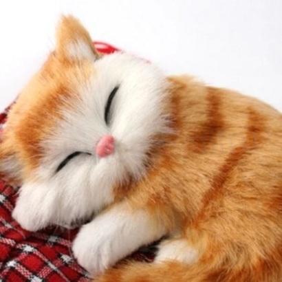 Plyšová hračka kočka (D718)