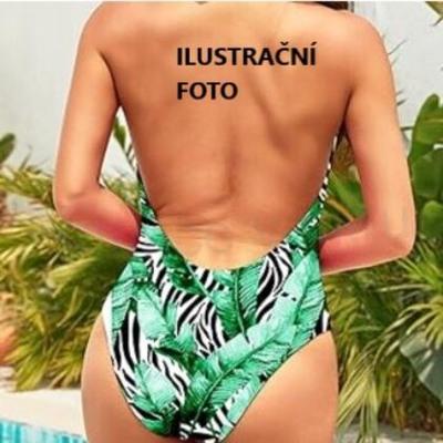 Dámské jednodílné plavky Mooncore – Push Up, výstřih do V (XL / EU 42) (K404)