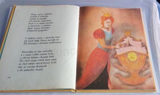 Šípková Růženka (EK21)