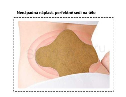 Hřejivá pelyňková náplast na bolest bederních obratlů 12 kusů (F64)