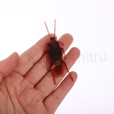 Dekorativní hmyz šváb 6 kusů (D975)