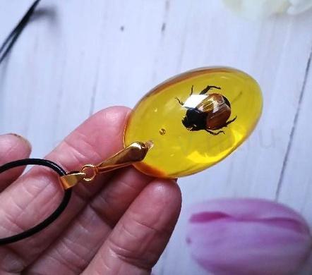 Jantarový přívěšek s broukem na kožené šňůrce (PP202)
