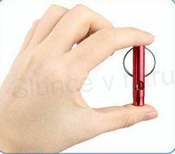 Psí, vycviková píšťalka přívěsek stříbrná (T14)