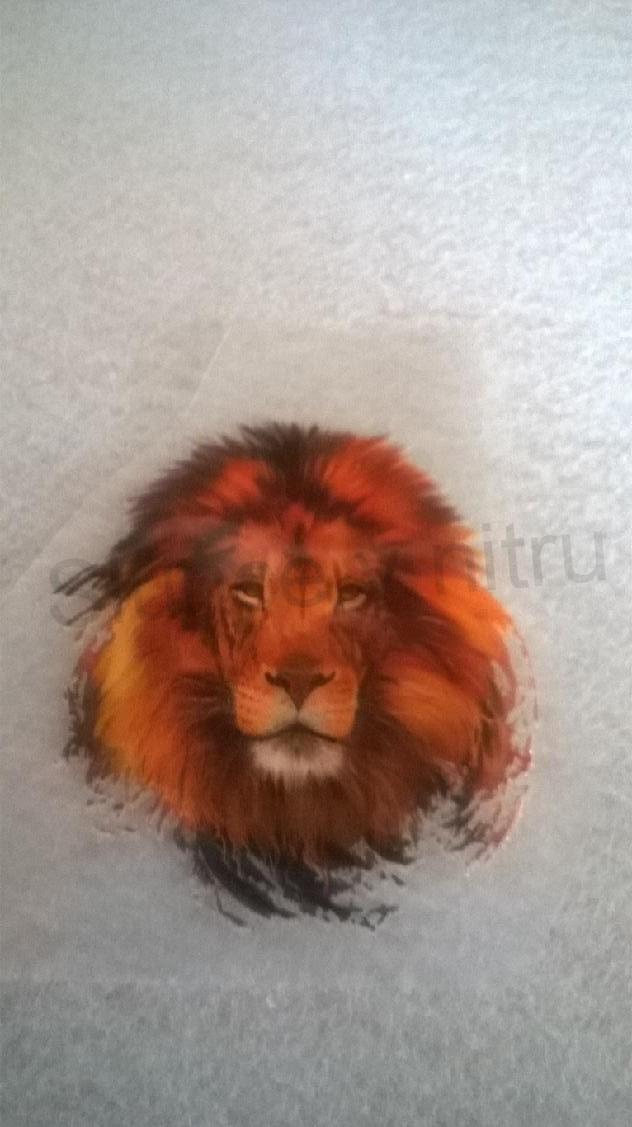 Samolepicí nažehlovací nášivky (C159)